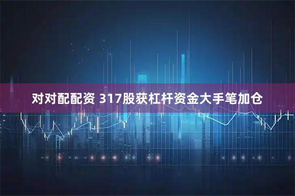 对对配配资 317股获杠杆资金大手笔加仓