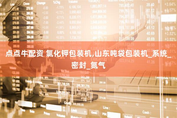 点点牛配资 氯化钾包装机,山东吨袋包装机_系统_密封_氮气