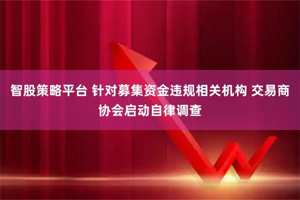 智股策略平台 针对募集资金违规相关机构 交易商协会启动自律调查