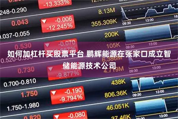 如何加杠杆买股票平台 鹏辉能源在张家口成立智储能源技术公司